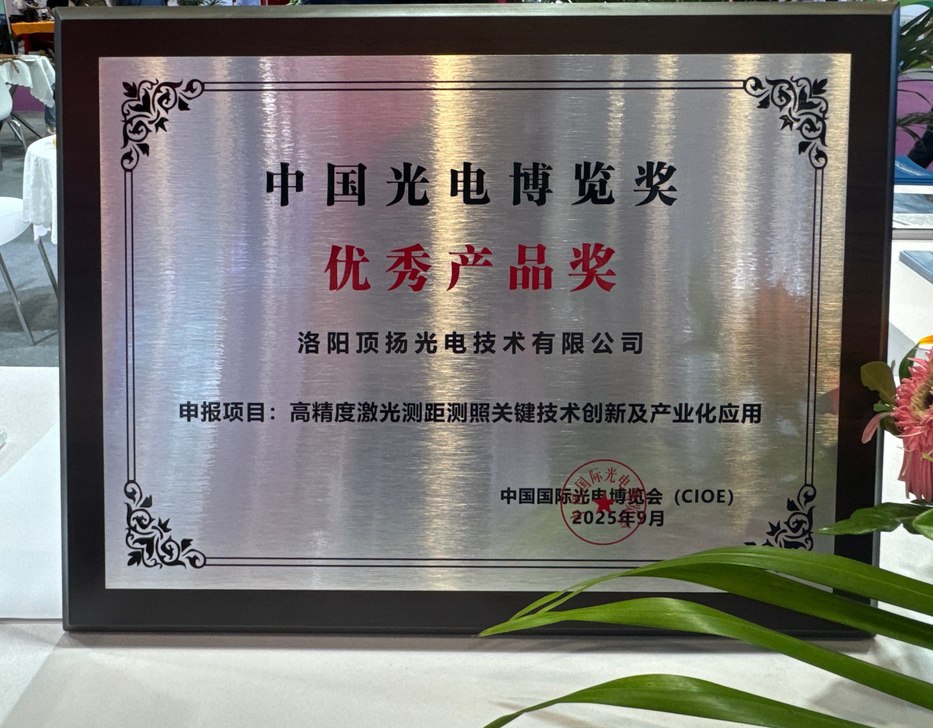8729_eshq_1706.jpg
